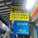 일신상회 이미지