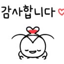 2024-주212 이미지