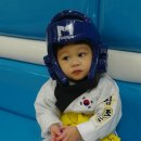 참조은태권도 이미지