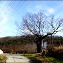 상구2리 이미지