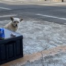 목화횟집 이미지