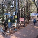 수정4동초소 이미지