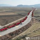 강진3호 이미지