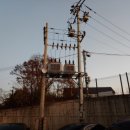 문화인쇄사 Daum카페