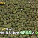 녹두