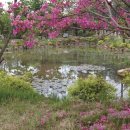 일동수목원 이미지