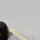 도그 앤 조이 이미지