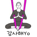 요가초급반 이미지