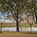 이마트24 동촌점 | 대구파티룸숙박 가능한 무드올, 아기랑 가기좋은 가성비 숙소