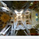 바르셀로나 - 사그라다 파밀리아 이미지
