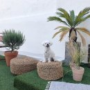 오파프부산 이미지