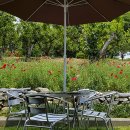 서일 농장 이미지