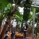 우남농장 이미지