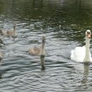 루나동물병원 이미지