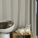 베스트 캣 | [내돈내산] 육아/육묘 용품 LG 퓨리케어 AI 오브제 컬렉션 에어로 캣타워 구매 및 실사용 후기