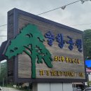 솔향공원 소나무전시관 | [충북 보은] 속리산테마파크 3 - 솔향공원 (소나무 홍보전시관 / 식물원 온실)