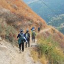 차마고도 이미지