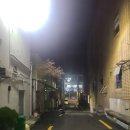 구포모텔캣츠 이미지