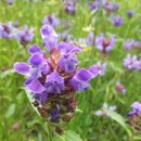 재경3호 이미지