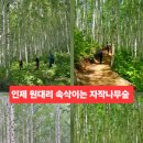 오뉴월숲