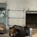 동산사슴목장 | [경남 동물원] 다양한 동물을 볼 수 있는 “진양호 동물원”