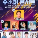 밸리댄스페스티벌 | 2025 밀양수퍼페스티벌 후기 &amp; 8월 10일 마지막 날 안내
