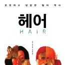 미스터리헤어