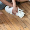 흥덕중학교 이미지