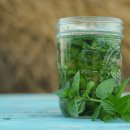 페퍼민트 이미지