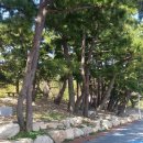 남파랑길 42코스 이미지