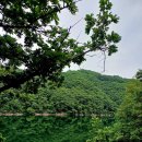 진천 농다리-미르309 출렁다리-초평호 둘레길 이미지