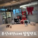 행복한 강아지 | 부산애견카페 왈왈랜드, 강아지와 행복한 시간 보낸 솔직 후기!