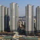 주식회사 더제니스 이미지