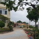 토산초등학교 병설유치원 이미지