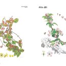 (주)코리아플로라 이미지