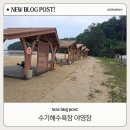 (주)시민여객 | 주말 삼목선착장 배시간, 신도선착장, 수기해수욕장 야영장 당일치기 요금 총정리