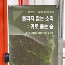 소리의 숲 | 숲을 표현하는 시간, 경기상상캠퍼스 숲숲학교 들리지 않는 소리 귀로 듣는 숲 후기
