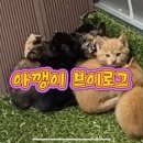 먹갱이 이미지