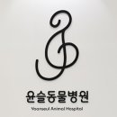 윤슬동물병원 이미지
