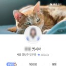 펫돌봄(돌봄컴퍼니) | 캣시터로 활동하고 있습니다｜와요 펫시터 기록