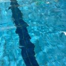 장유스파랜드 헬스장 이미지