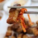 별빛캐라반민박 네이버블로그