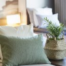 비건이지 이미지