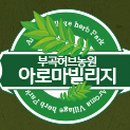 부곡허브농원 아로마빌리지 이미지