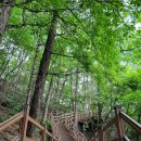 ♧아카데미15기 185차 정기산행 충북제천 환상적인 단풍명소 배론성지 투어&amp;충주호 악어섬 악어봉 트레킹♧ 이미지