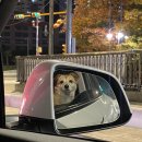 제로백피트니스 이미지