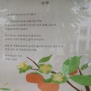 시립한빛마을6단지 어린이집 | 강의다니며 만난 풍경(6월)