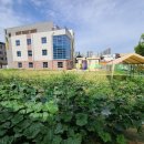 리리유치원 이미지