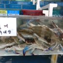 별하나펜션 이미지