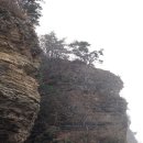 향동초등학교 이미지